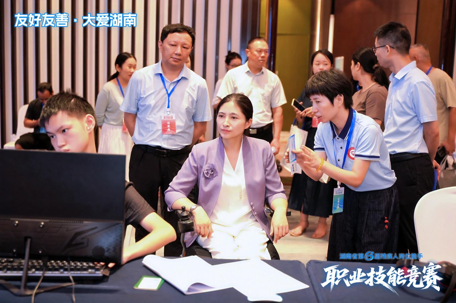 msn, 多个领域 msn, 多个领域