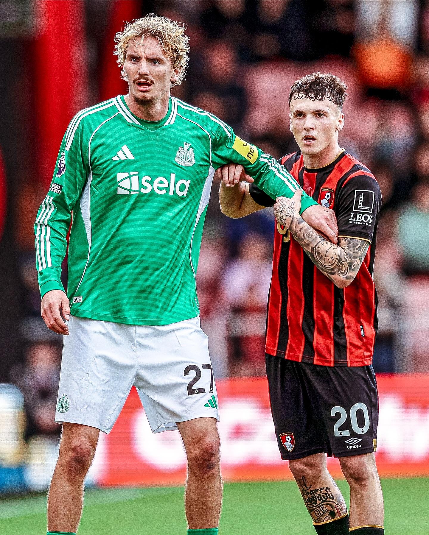 双方平分秋, AA, 行了回顾 双方平分秋, AA, 行了回顾